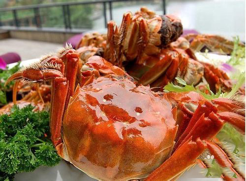 郑州月子中心给您介绍刚生完宝宝可以吃螃蟹吗？