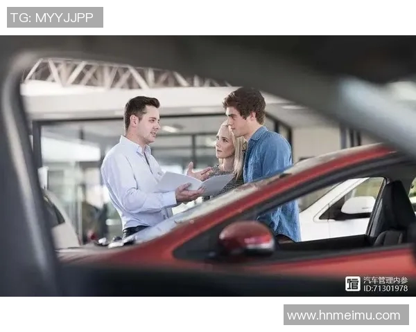 深入分析西安飞盘队的运营策略与发展模式探讨