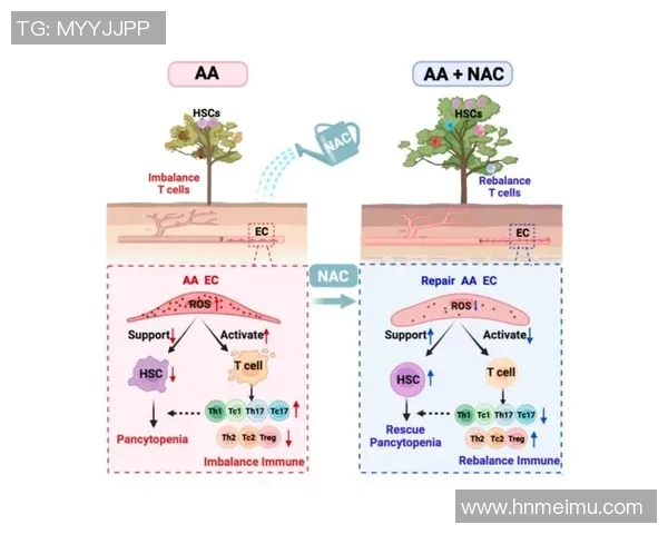 南京排球队耐力表现数据分析揭示训练效果与比赛策略的关系