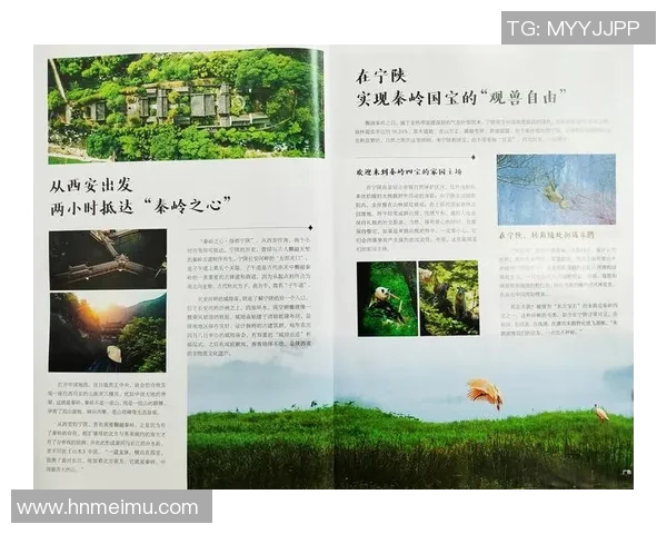 独家解析：WE意识形态的异同与影响力深度对比分析