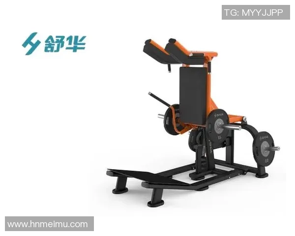 黑龙江健身器材租赁与维护服务指南