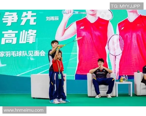 南京羽毛球队意识对比深度解析与发展潜力探讨